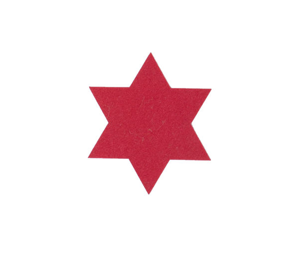 Εικόνα της ΧΡΙΣΤΟΥΓΕΝΝΙΑΤΙΚΟ ΣΟΥΒΕΡ FELT STAR 6TMX RED NEF NEF