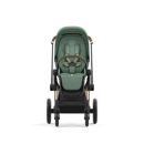 Εικόνα της Cybex Priam Frame Rosegold - Seat Leaf Green