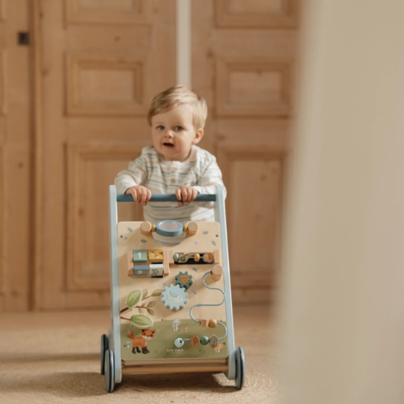 Εικόνα της Καρότσι-περπατήστρα δραστηριοτήτων Forest Friends FSC