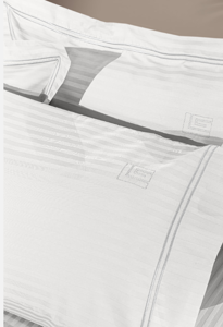 Εικόνα της Ζεύγος Μαξιλαροθήκες Nice White L.Silver Oxford 52x72 Guy Laroche