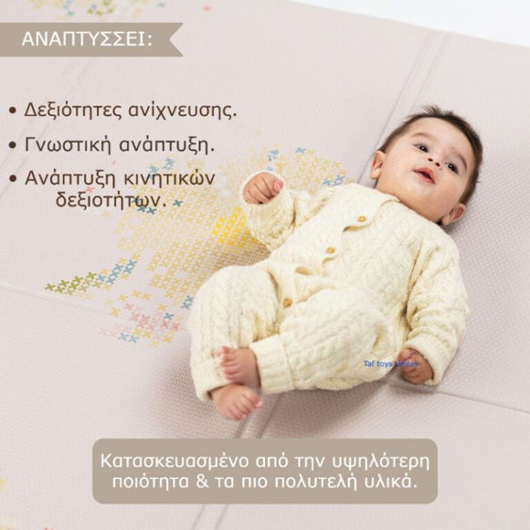 Εικόνα της Taf Toys Fold ‘N Play Bloom