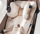 Εικόνα της Μαξιλάρι Organic Jersey Angel's Wings Ballerine - Sand
