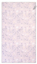 Εικόνα της Πετσέτα Θαλάσσης Microfiber (90x160) Nima Salty Love