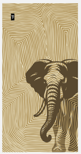 Εικόνα της Πετσέτα Θαλάσσης Printed 04 80x160 Feel and Touch
