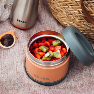 Εικόνα της Θερμός Φαγητού 500ml Mineral grey/Terracotta Béaba