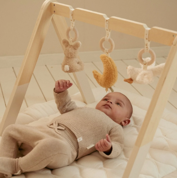 Εικόνα της Βρεφικό γυμναστήριο Newborn Naturals