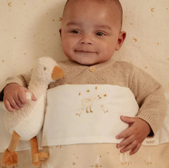 Εικόνα της Υφασμάτινο κουκλάκι Little Goose GRS 17εκ.