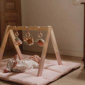 Εικόνα της Βρεφικό γυμναστήριο Fairy Garden FSC