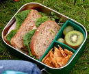 Εικόνα της Little Lund Lunch Box 1200ml – Dino