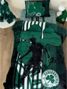 Εικόνα της Κουβέρτα Fleece Μονή DG 160x220 PANATHINAIKOS