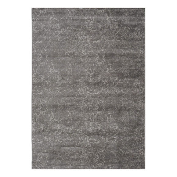 Εικόνα της Χαλί (200x290) Polcarpet Estia 9795 L.Grey