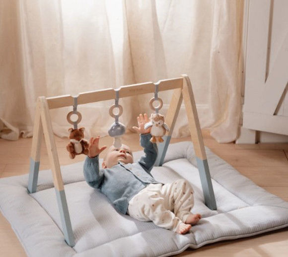 Εικόνα της Βρεφικό γυμναστήριο Forest Friends FSC