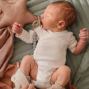 Εικόνα της Κλιπ για Πιπίλες Halo Stone – Mushie