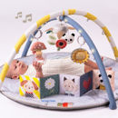Εικόνα της Taf Toys Γυμναστήριο Δραστηριοτήτων Melody Bloom Gym