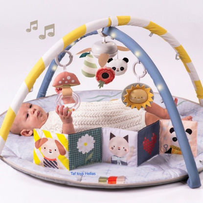 Εικόνα της Taf Toys Γυμναστήριο Δραστηριοτήτων Melody Bloom Gym
