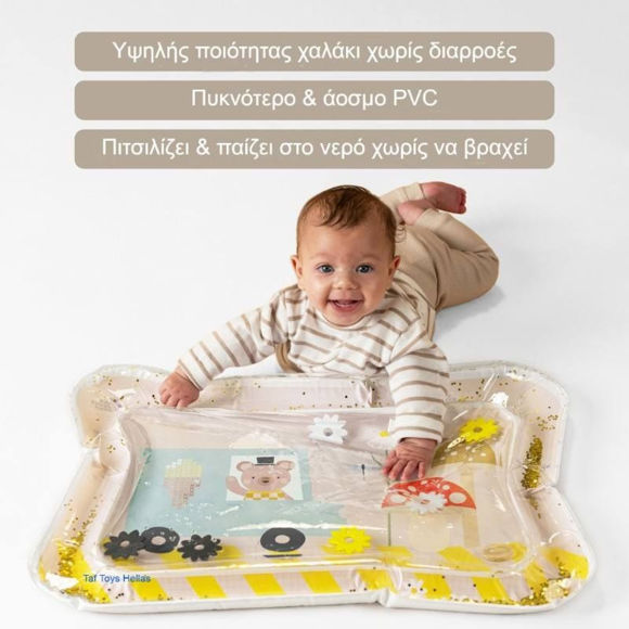 Εικόνα της Taf Toys Βρεφικό Χαλάκι Νερού Για 0+ Μηνών Ice Cream Bear